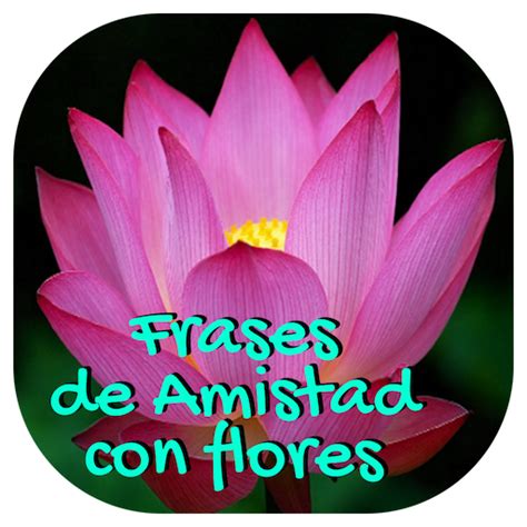 Introducir 95 Imagen Frases De Amistad Con Imagenes De Flores