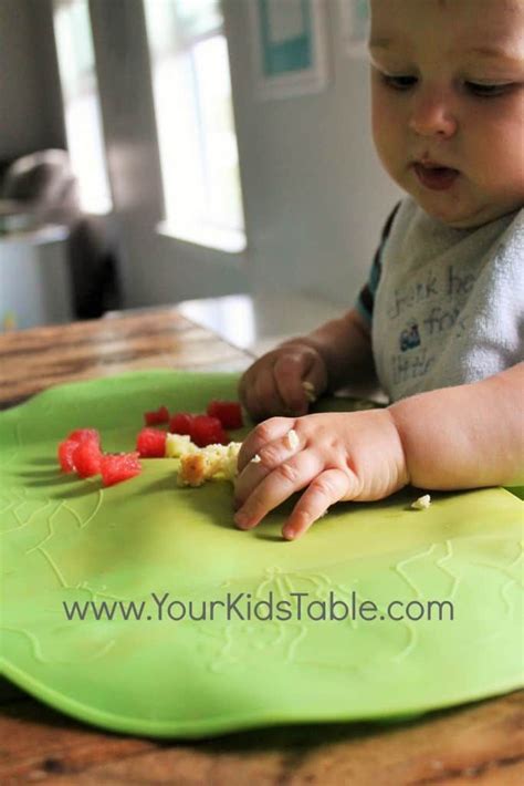 Babies often reject their first servings of pureed foods because the taste and texture is new. Feeding Schedule for 8, 9, and 10 Month Olds | 10 month ...