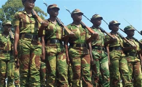 Zimbabwe Mdc T Says Thousands Of Soldiers Deployed Throughout Rural Zim Cites Party