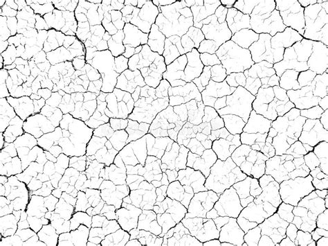Structure Cracked Soil Ground Earth Texture On White Background Desert