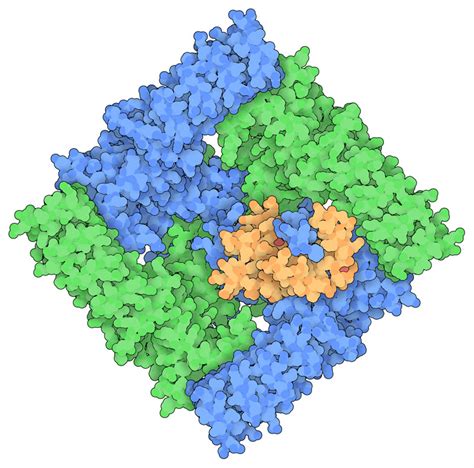 Pdb 101 Molecule Of The Month Capsaicin Receptor Trpv1