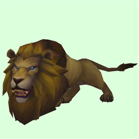 Grand Lion Pet Look Petopia Hunter Pets In The World Of Warcraft