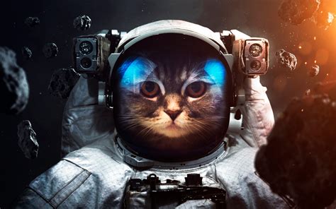 Space Suit 4k Wallpaper Cat Asteroids Astronaut Stars Space 2483