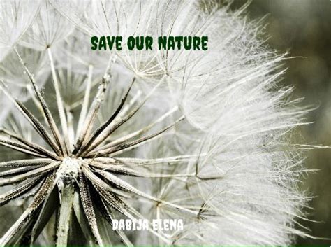 Save Our Nature Free Stories Online Create Books For Kids