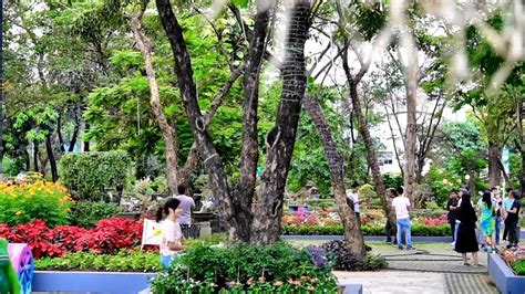 Quezon City Circle Park Ellptical Road Youtube