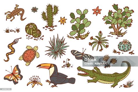 Ilustración De Naturaleza De México Plantas Y Animales Flora Y Fauna