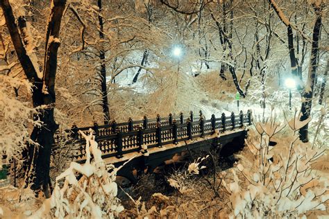 Bridge In Winter Park