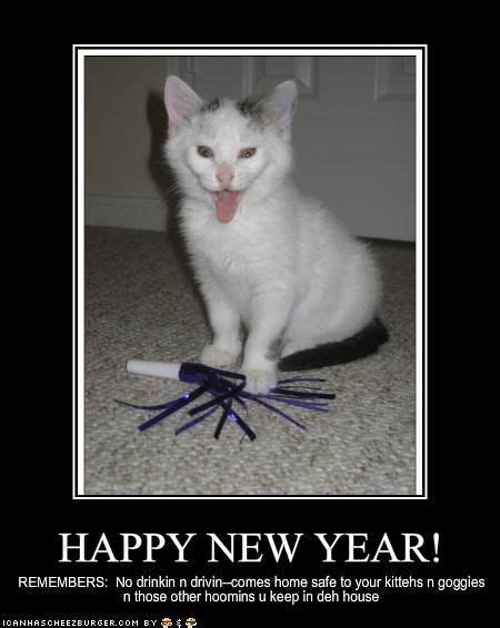 new year s eve cat puns year happy cats addict true books book appnewyear2023