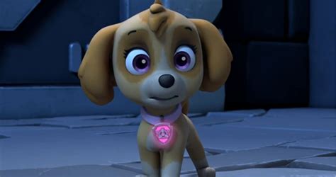 Is Chase Dating Skye In Paw Patrol Telegraph