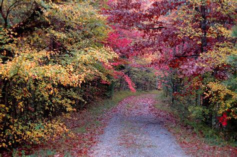 Best Time To See Kentucky Fall Colors 2024 When To See Roveme