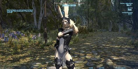 Final Fantasy 14 10 Things You Didnt Know About Viera