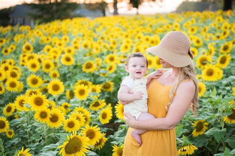Our Sunflower Photo Shoot in 2020 | Leonards photography ...