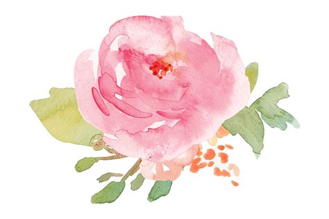 Watercolor Flower Png Pic Png All Png All