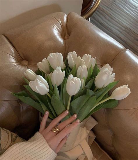 𝐇𝐢𝐠𝐡 𝐅𝐚𝐬𝐡𝐢𝐨𝐧 𝐏𝐨𝐬𝐭 On Instagram Tulips Whats Your Favorite Flower