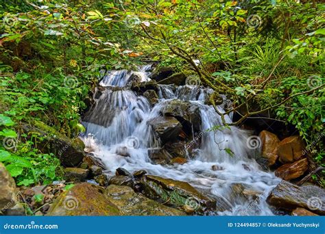 A Small Waterfall Of A Mountain Stream In The Forest Stock Image