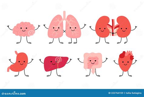 Set Cute Smiling Happy Human Healthy Strong Organs Characters Brain