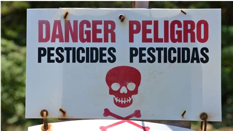 Disproportionate Pesticide Hazards To Farmworkers And People Of Color