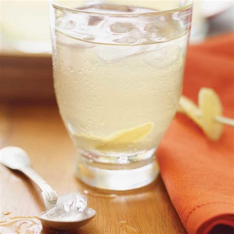 Ginger And Honey Iced Tea Recipes List