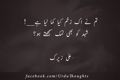Best Urdu 2 Line Poetry | Urdu Sad Shayari Two Lines | Urdu Thoughts