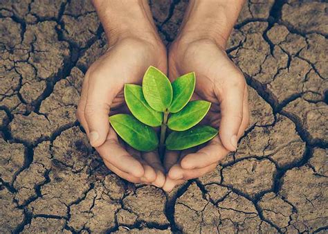 How To Save Our Environment Environment Protection Measures