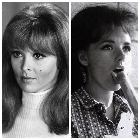 ginger or mary ann tina louise and dawn wells 1969 oldschoolcool