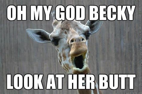 12 Funny Giraffe Memes That Will Make Your Day Funny Giraffe Giraffe