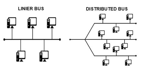 Understanding The Bus Topology And Its Advantages And Disadvantages