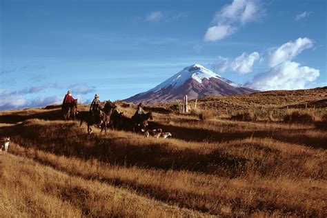 Official web sites of ecuador, links and information on ecuadorian art, culture, geography, history, travel and tourism republic of ecuador | república del ecuador. Cotopaxi - Only in Ecuador