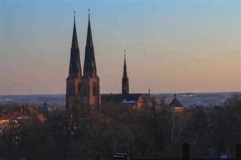 We did not find results for: Dags att kasta ut Mao ur Svenska kyrkan - Samtiden