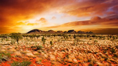 Central Australia 2560×1600 Desert Sunset Landscape 4k 3650 Wall Paper