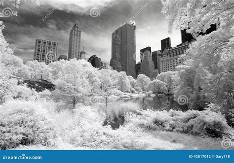 Infrared Image Of The Central Park Stock Photo Image Of Great Life