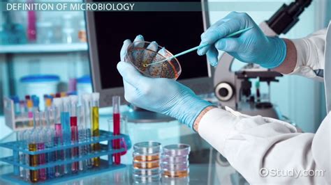 What is Microbiology? - Definition & History - Video & Lesson
