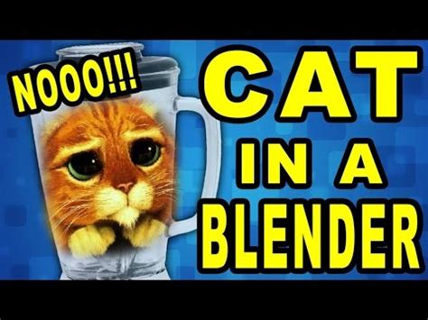 If you like the convenienve of having a hand blender you should change it. KITTEN IN A BLENDER :( (Lazy Montage #23) - YouTube