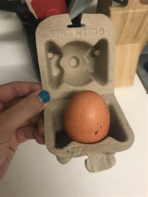 This Single Egg Carton Make It Yourself Wtf Egg Carton