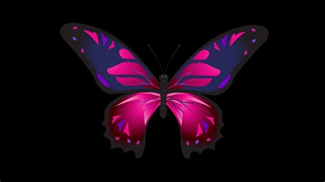 Download Wallpaper 3840x2160 Butterfly Patterns Wings