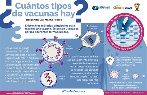 Coronavirus ¿cuántos Tipos De Vacunas Hay Ciencia Unam