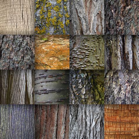 Tree Bark Textures Digital Paper (Graphic) by oldmarketdesigns ...