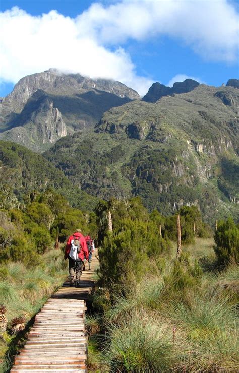 Rwenzori Mountains Holidays Hiking Uganda Far And Wild Travel