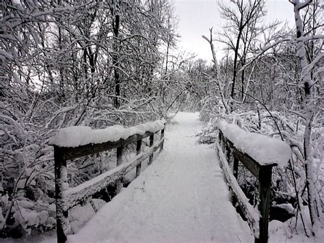 Kettle Moraine State Forest Winter Wonderland At Pike Lake Pike Lake