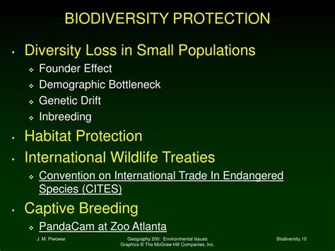 Ppt Biodiversity Powerpoint Presentation Free Download Id22101