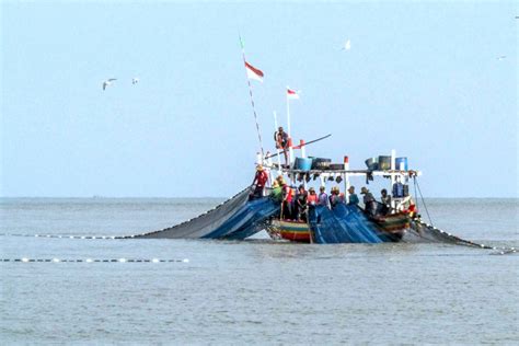 Nelayan Ini Tangkap Jenis Ikan Di Laut Dalam Simak Vrogue Co