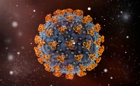 Human Coronavirus OC43 Spike Protein - The Native Antigen Company