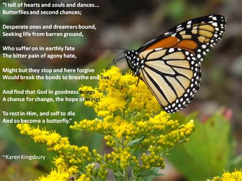 Quotes About Butterflies Quotesgram