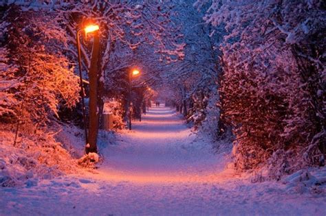 Love Snowy Nights Beautiful Places Mother Earth Snow And Ice