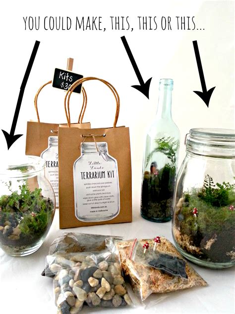 Printed copy of step by step guide & online. Terrarium Kit | Diy terrarium kit, Terrariums kits, Terrarium diy