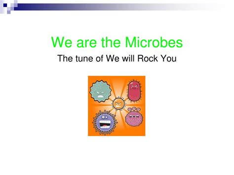 Ppt Music And Kinesthetic Learning In Fcs Powerpoint Presentation Free Download Id53228