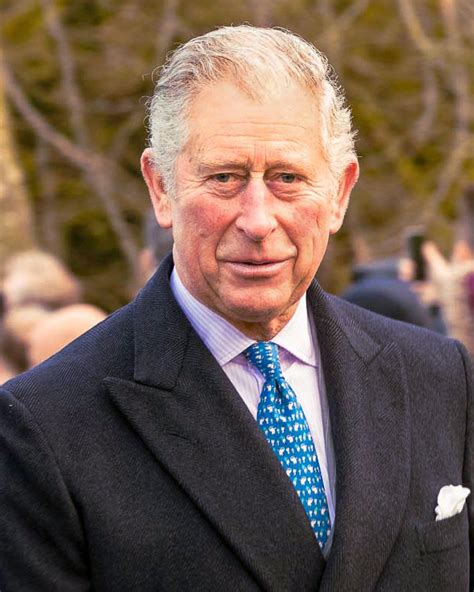 Charles Prince Of Wales Wikipedia