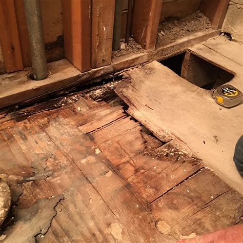 Subfloor how to lay chipboard flooring tongue and groove chipboard flooring is a common building material. Bathroom Subfloor in 2020 | Installing heated floors, Complete house renovation, Flooring contractor