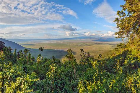 5 Days Safari Tarangire Ngorongoro And Serengeti Gabho Global Tours
