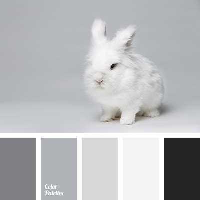 Black and white color scheme. Color Palette #2898 | Grey color palette, Color palette ...